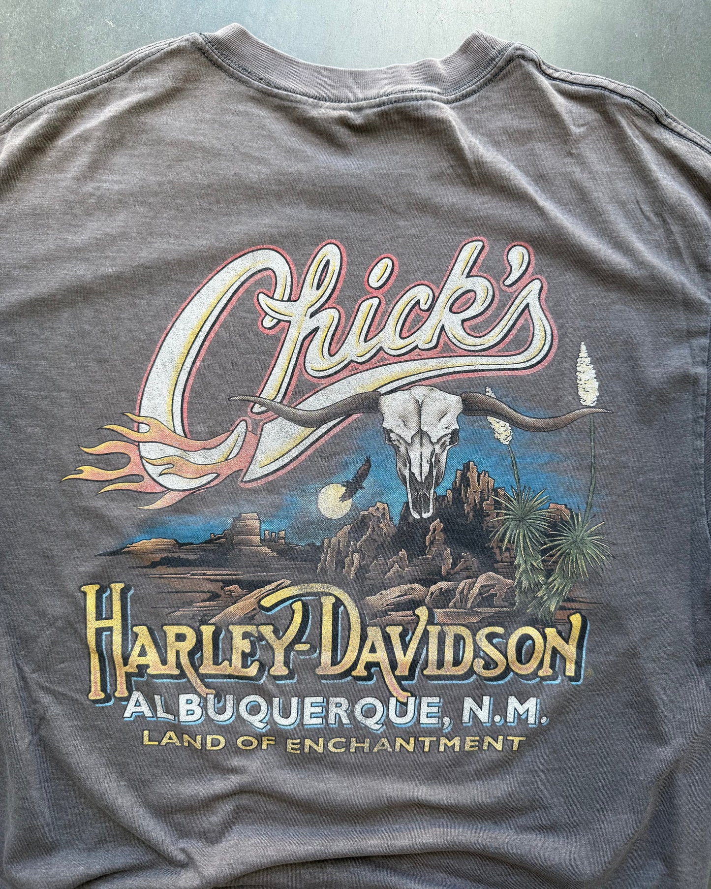 Vintage Harley Davidson Faded Tee - L